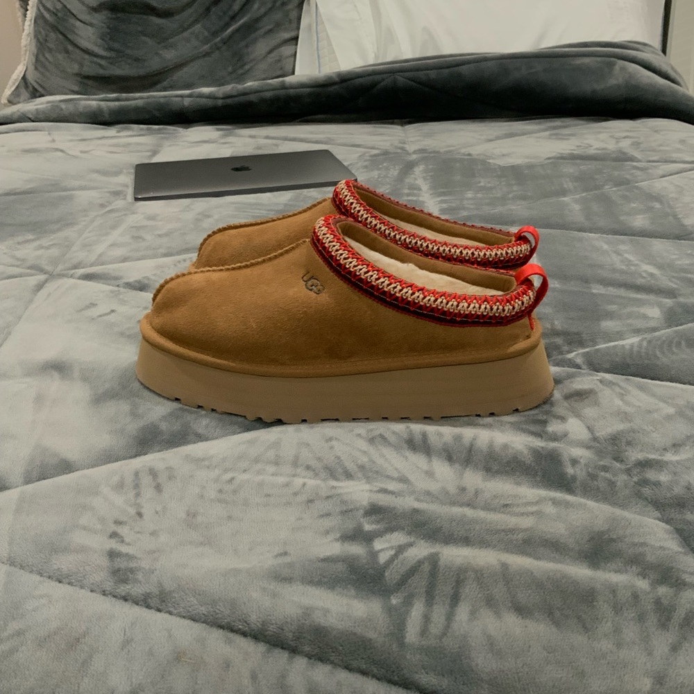 Womens Tasman uggs PLATFORM